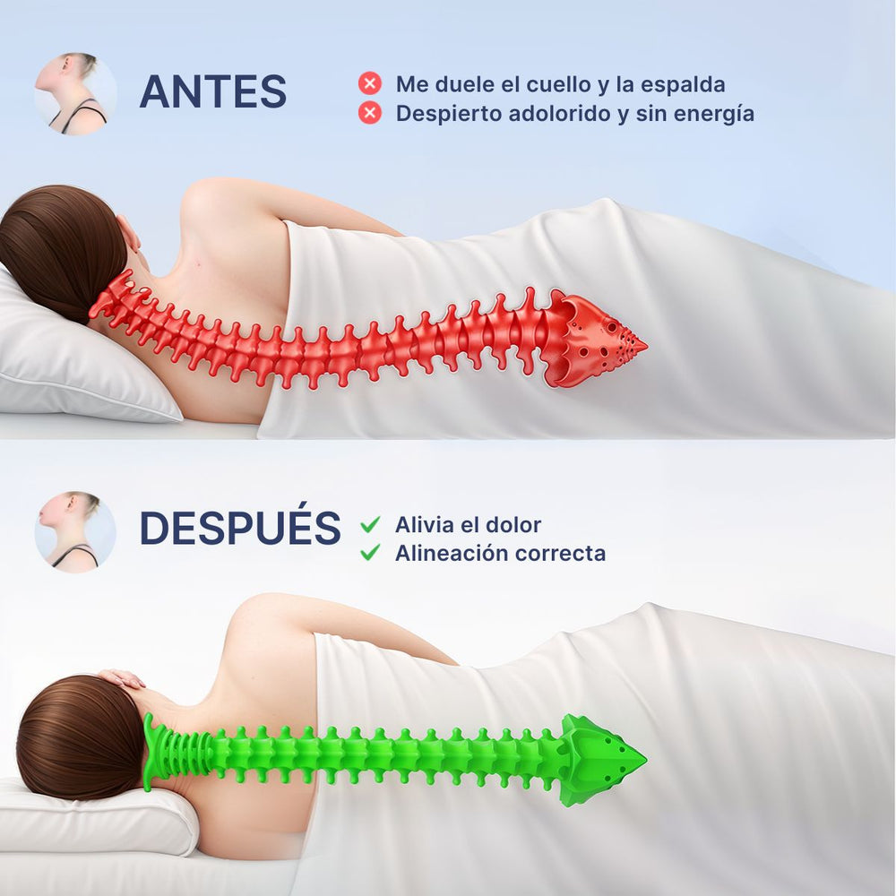 OrthoSleep™ – Almohada Cervical 4
